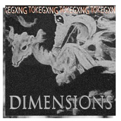 DIMENSIONS [tape 2]