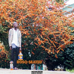 Seated[Prod.by.RoSo]