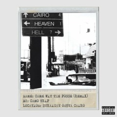 Came Wit The Posse (Remix)