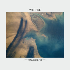 Indie 2018 Top Tracks