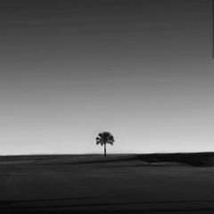 "Lamborghini Shawty Freestyle"