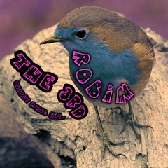 The 3rd - Robin