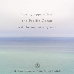 Pacific (NaviarHaiku221)