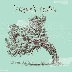 Payung Teduh - AKAD (MOZA cover)