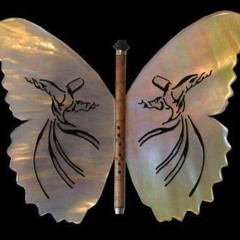 تجلي الذات - مزج بيان - من ألبوم حمزة نمرة الجديد