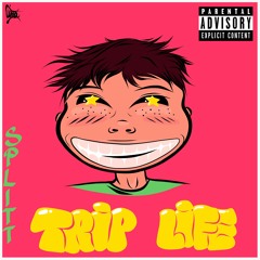 SpLITT - TRIP LIFE (mix CIGM-beats)