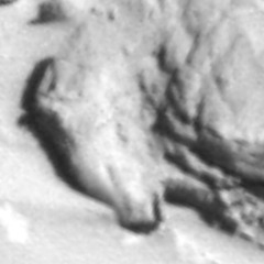 BBB "YOU BETTER LISTEN" 3/31/18, 8:32 PM