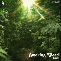 TYGER -  Smoking Weed (Audio)