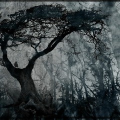 XentriX - Mabinogion
