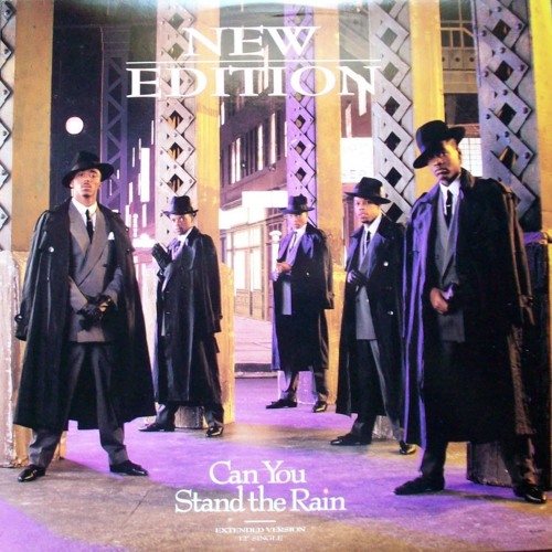 New Edition Can You Stand The Rain By N E Heartbreak On