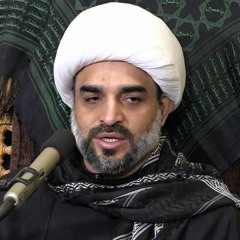 ذكرى وفاة السيدة زينب عليها السلام 1439هـ | الشيخ أمين المحفوظ