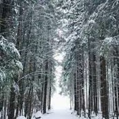 Brother - Matt Corby (Monsoon Cover)