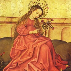 The mirror of Our Lady (Rosa Mystica)