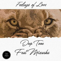 Deep Tone feat. Mixusha – Feelings Of Love