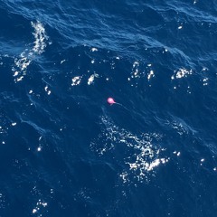 Feels - VinGogh (prod.thatboyslim)