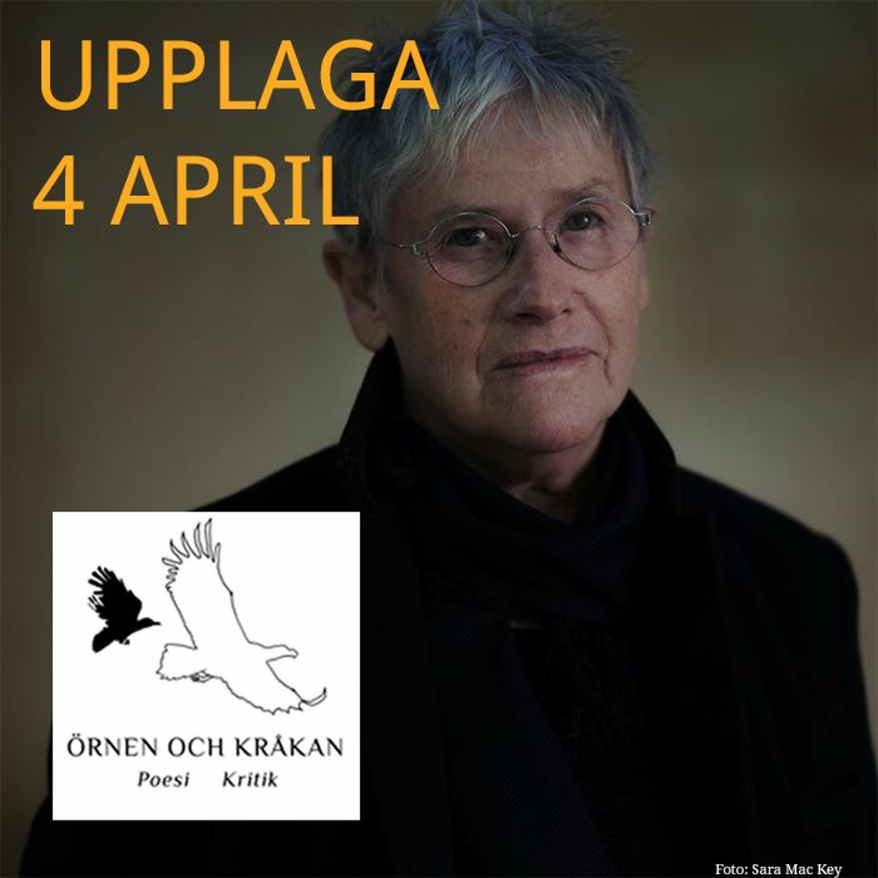 Rec. Strandberg Att snara en fågel episode artwork