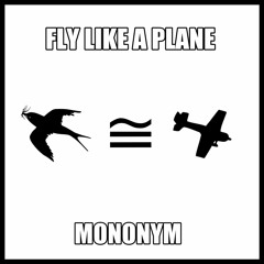 Fly Like A Plane
