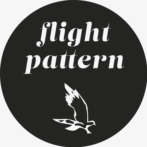The Skeptics - Take Flight - All Flight Pattern Mix
