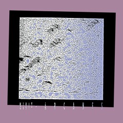 NiKiT - Subatomic / EE021