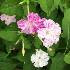 Intrapersonal (ft.sisyfuss)