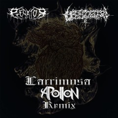 Predator & Lepidoptera - Lacrimosa (Apollon Remix)