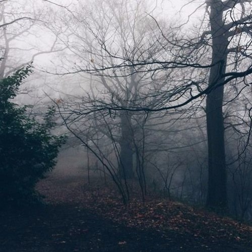 nothing seem cover up pain