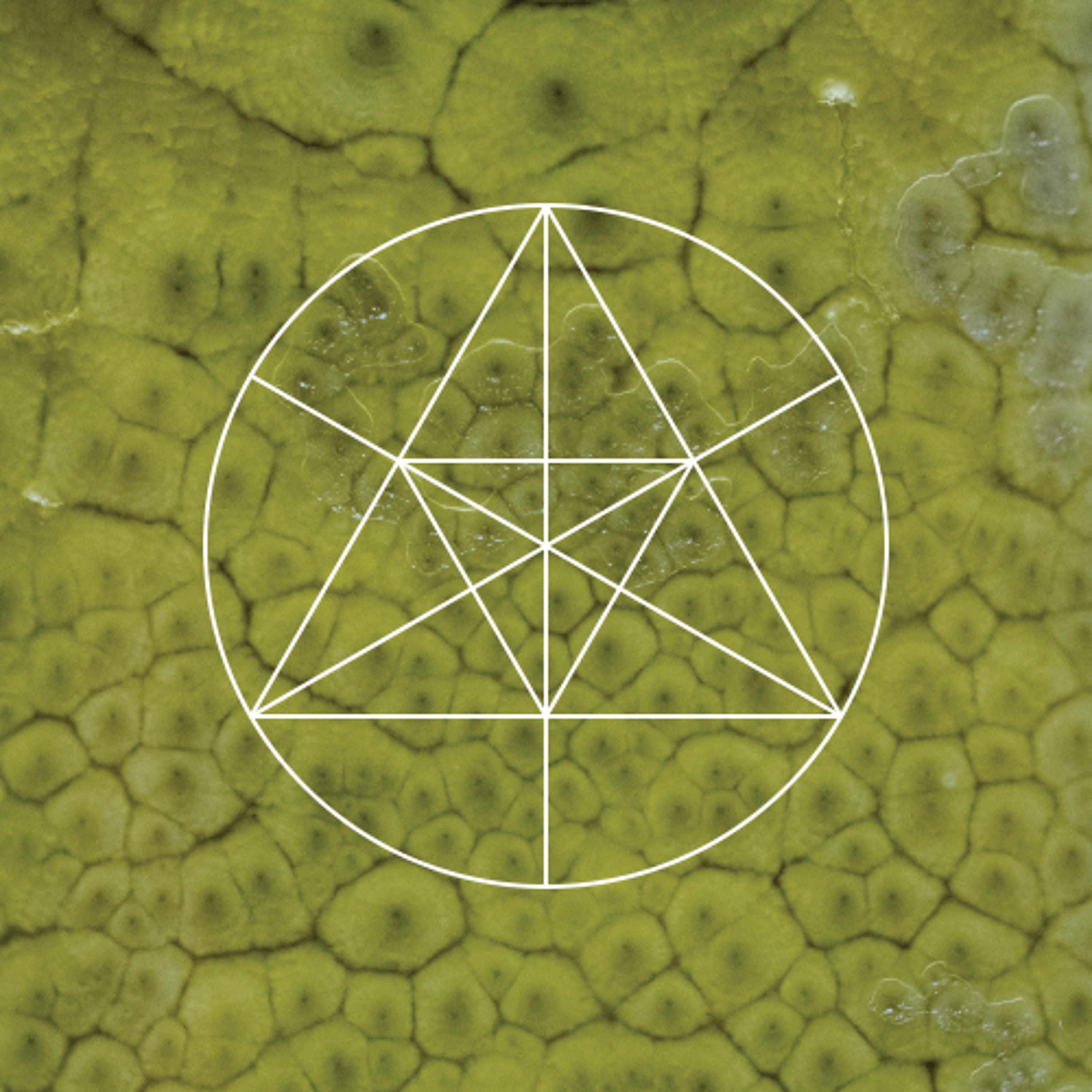 Mysteries of the Deep
