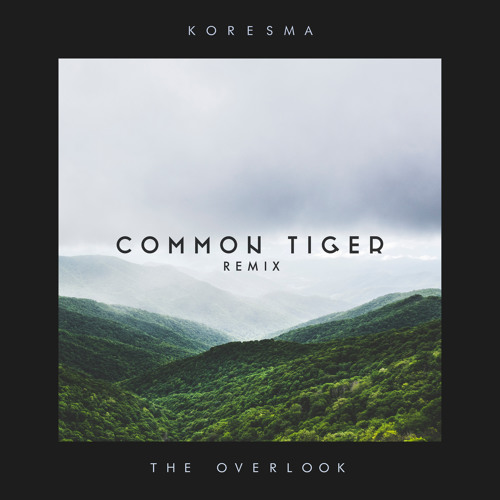 The Overlook (Common Tiger Remix)