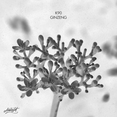 K90 - Ginzeng km. DLO, Tink (prod. By Spidersense)