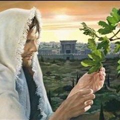 صلاة الساعة الحادية عشر من ليلة الاثنين من البصخة المقدسة - كنيسة مارمرقس - الاحد ١ ابريل ٢٠١٨