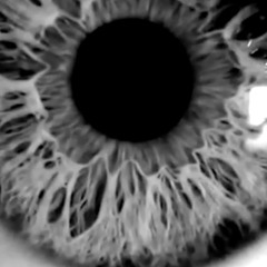 Mentes enfermas - Lazaro Chauman Fu - Buda Man Baron - Asko man- Tree House Studio