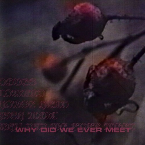 Døves, Wicca Phase Springs Eternal, Horse Head, Jon Simmons - Why Did We Ever Meet (prod. fish narc)