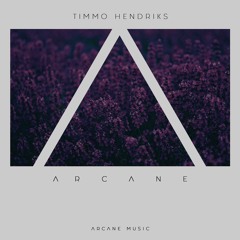 Timmo Hendriks - Arcane