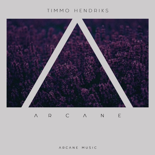 Timmo Hendriks - Arcane