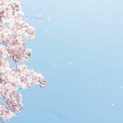 Spring In Japan
