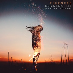 Burning Me (feat. Bri Tolani)