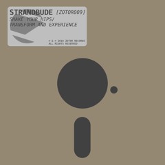 Strandbude - Shake Your Hips [ZOTOR009]