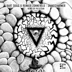 Bart Skils & Reinier Zonneveld - Snakecharmer (Pig&Dan Remix)