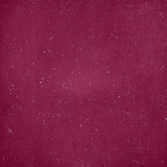 Ghostface Killers (Zac Flewids Remix)