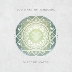 WTHI005 - Dustin Nantais - Wandering (Original Mix)