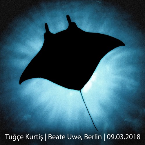 Tuğçe Kurtiş @ Beate Uwe, Berlin