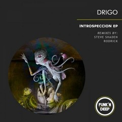 Drigo - Introspeccion (Rodrick Remix)