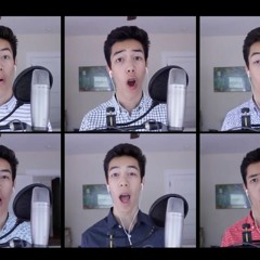 Isn't She Lovely - Jacob Collier cover by Grant Heineman (2017)