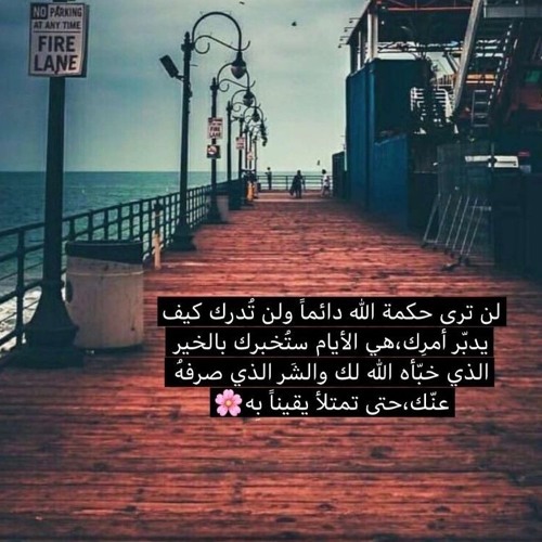 الشيخ ماهر المعيقلي - تلاوات من القرآن الكريم ( 22 ) 💙