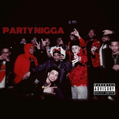 PARTY NIGGA FT. NELLY