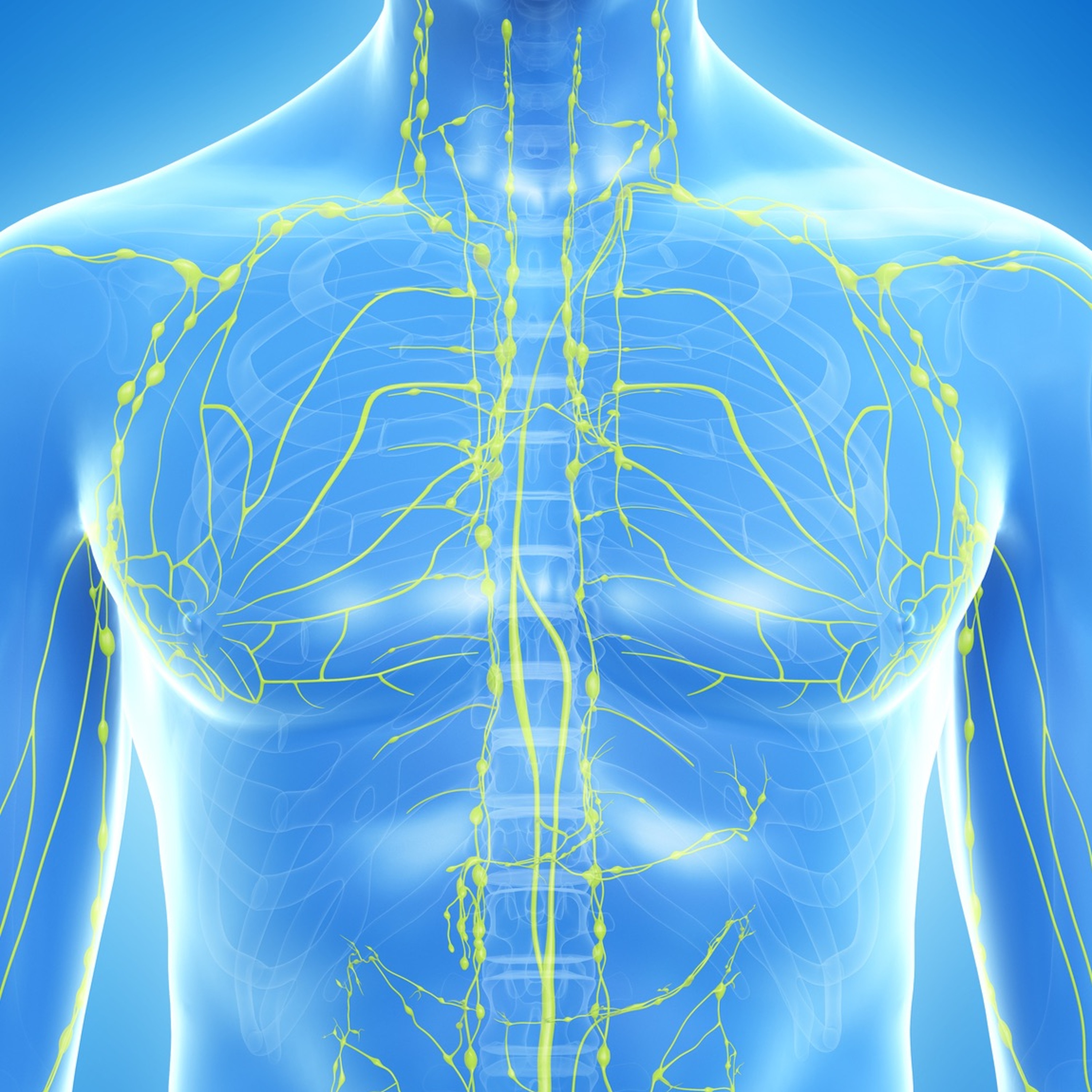 cover of episode The Lymphatic System - Radio Show Archive