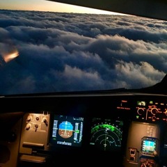 15- A Garça Pantaneira