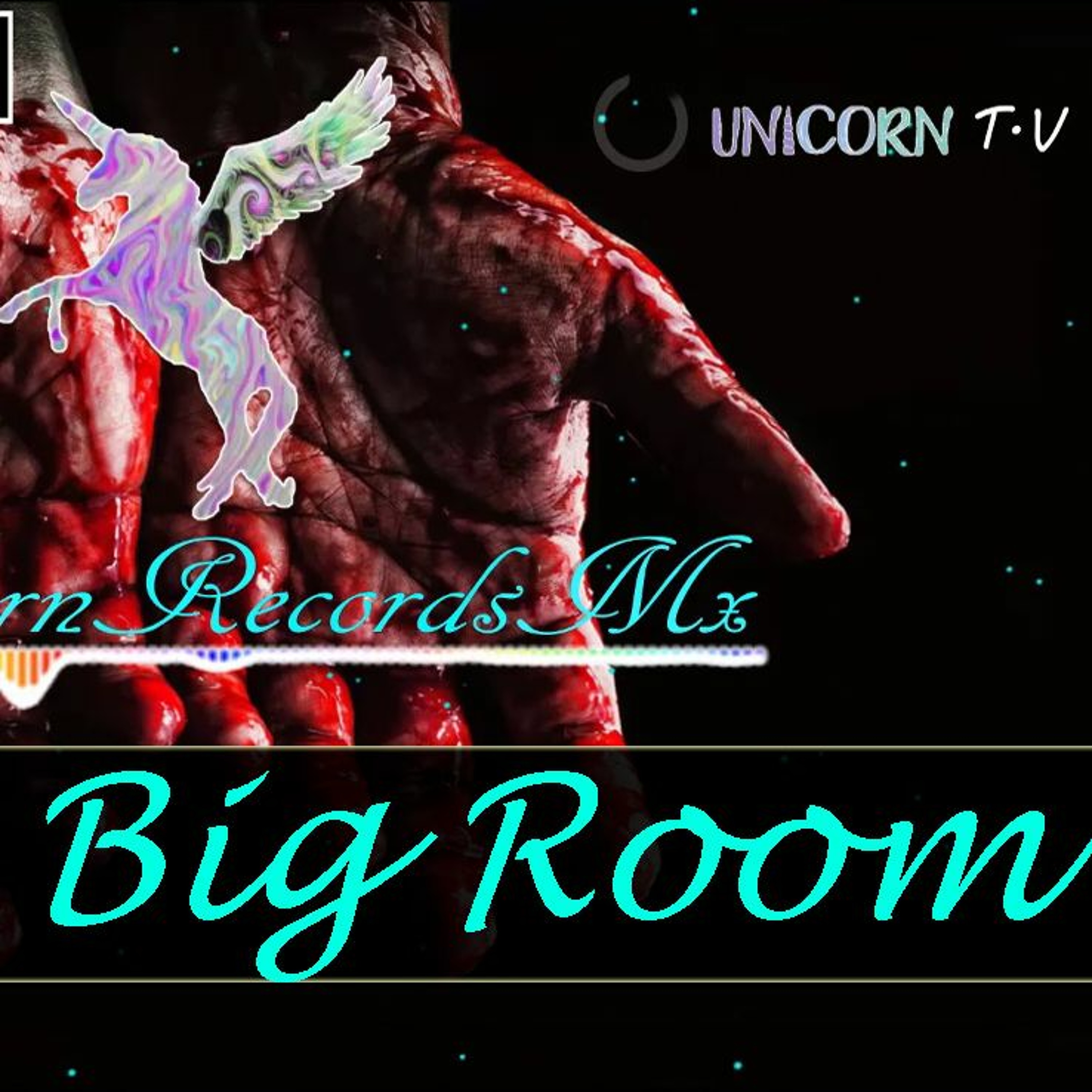 Unicorn RecordsMx