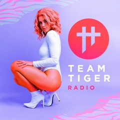 Team Tiger Radio #040 feat. Dj AK's Throwback Mix