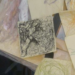 Ligeirinho mais rápido do mundo / sfragmentos do vale